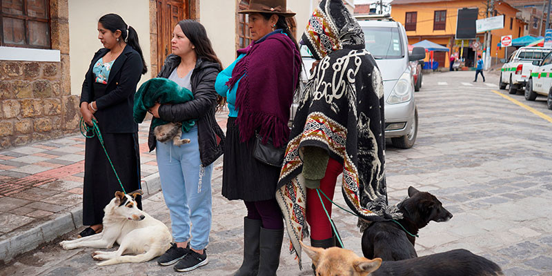 ESTERILIZACIÓN_CANINA_PARA_WEB_2.jpg