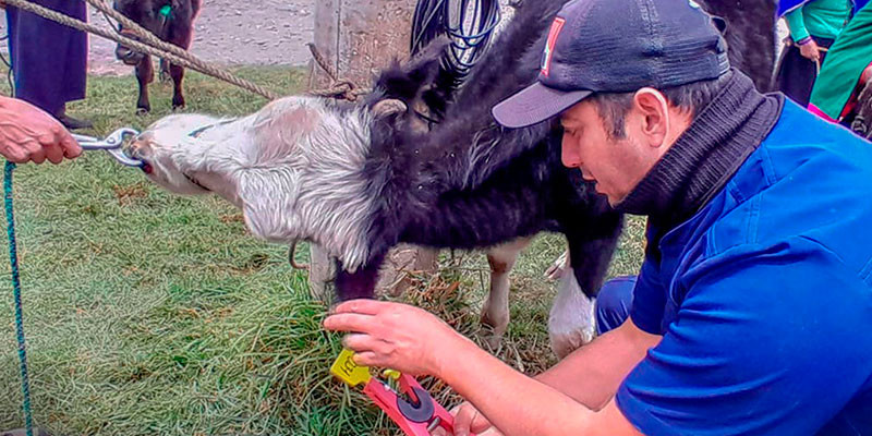 SEGUIMIENTO AL PROYECTO DEL FOMENTO PRODUCTIVO EN SAN ANTONIO DE CHACAZA